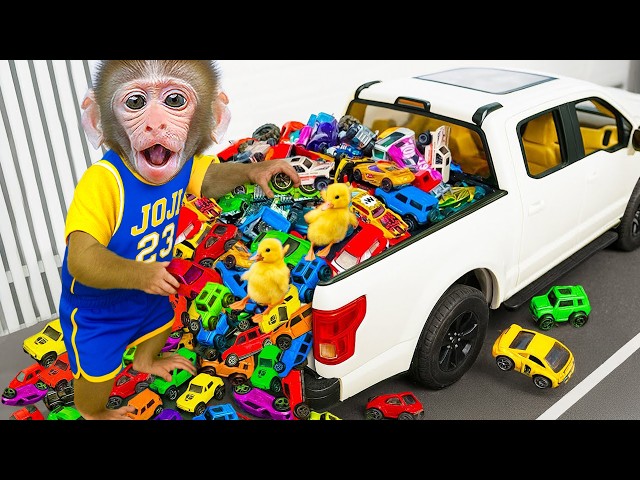 Macaco JOJI dirige supercarros e caminhão para colher melancias gigantes | JOJI Em Português