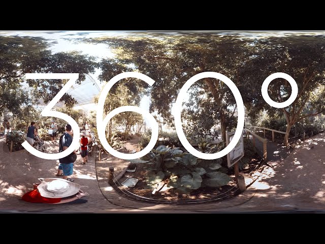360° VIDEO - Australian Rainforest Bird Walk 1of2 At Adelaide Zoo