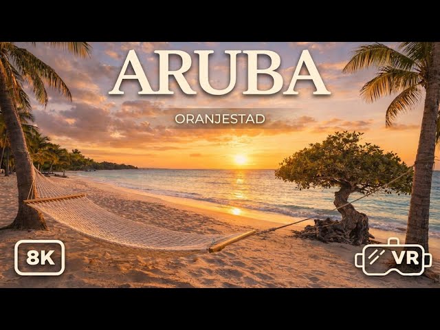 Visit Aruba in Virtual Reality | One Happy Island VR 180° Tour (8K)