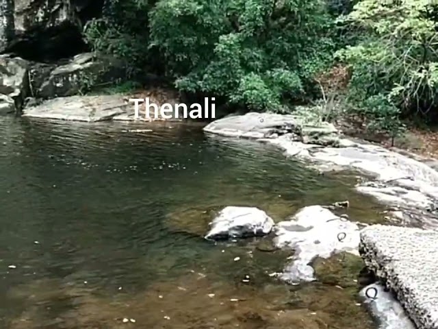 இன்றைய நிலவரம் செண்பகாதேவி அருவி.06.04.26 திங்கள் மதியம் 01 மணி.லேசா காற்றுவெயில்.😍   