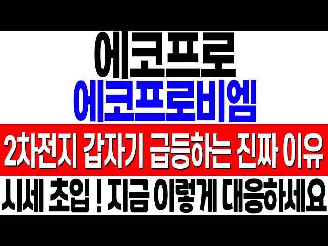[에코프로 에코프로비엠 주가 전망] 오늘 2차전지 갑자기 급등하는 이유! 결국 갈 종목은 가네요! 이제부터 이렇게 대응하세요! #에코프로 #에코프로주가 #에코프로주가전망
