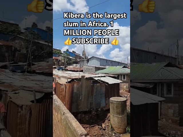 Kibera is Africa's  largest slum located in Nairobi#kenya #africa #slum #nairobi #travel #kibera