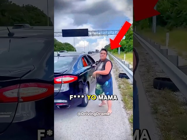 Lyft driver Karen HAS A MELTDOWN! 😨