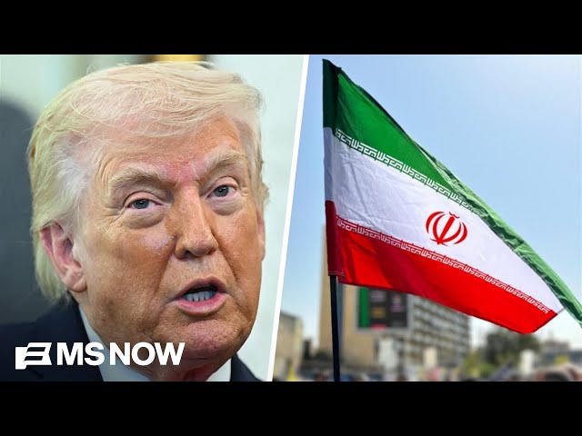 ‘Trump has STUCK his hand in the middle of a hornets nest!’: Anxiety piling over Iran war chaos