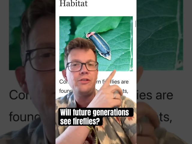 Are fireflies going extinct?