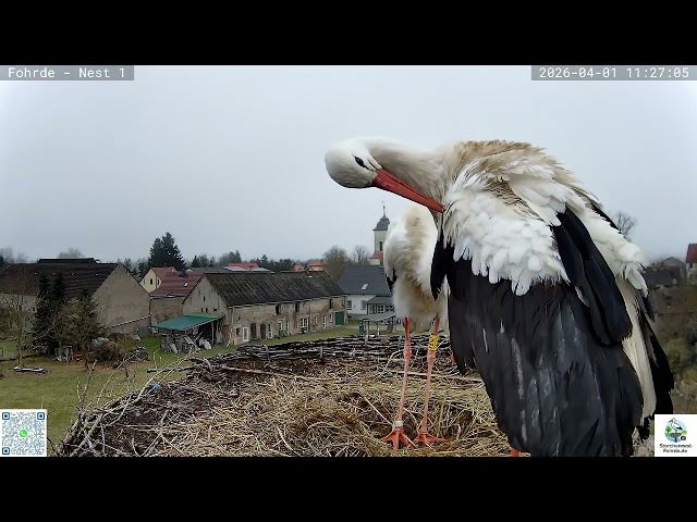 Tretakt - Otto und Jezebel - Storchennest Fohrde - 01.04.2026