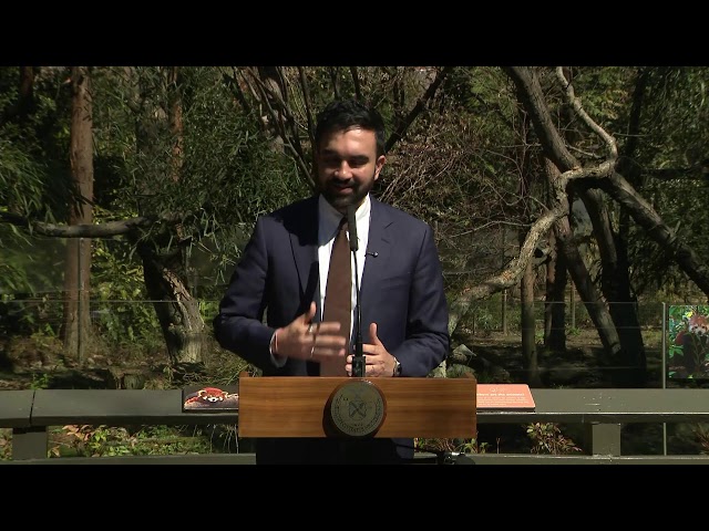 Mayor Mamdani Makes a Consumer Protection Announcement