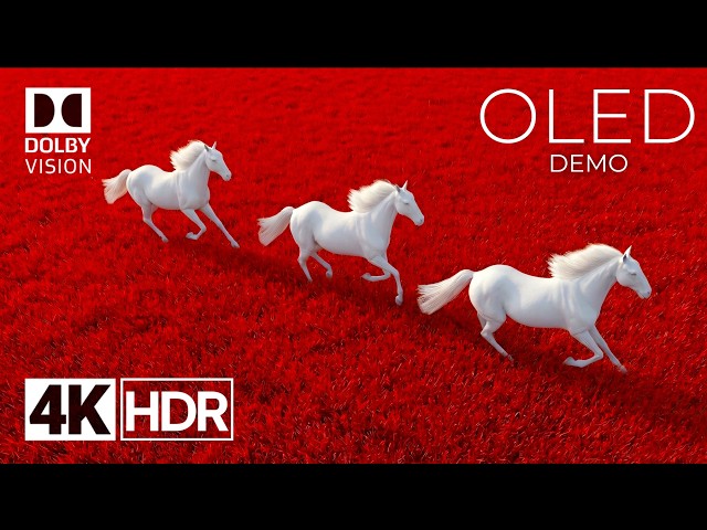 The Most Spectacular OLED Demo In 4k Dolby Vision - HDR Video 120fps