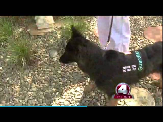 FOX4 - Guardian Angels