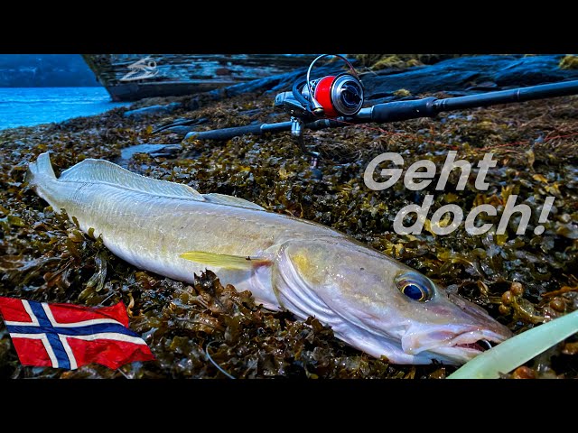 LENG - mit der Spinnrute vom Ufer! Tipps & Tricks!