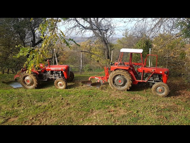 Oranje 2 dio//IMT 539 DLI i Leskovac 12 cola,IMT 539 DeLuxe i IMT 752//Vlog #16