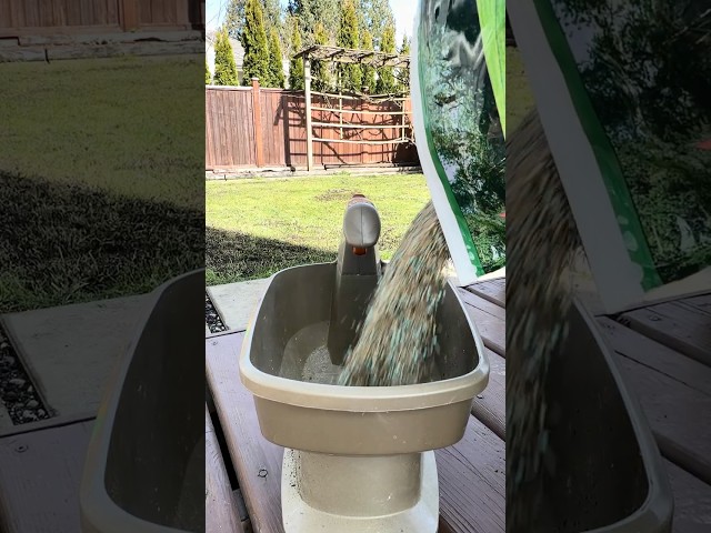 My son and myself worked on our  Lawn transformation in 5 Steps #viralshots #spring #lawncare