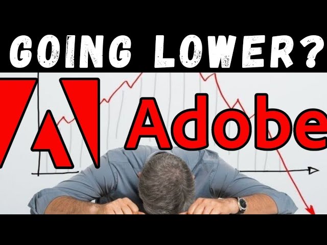 ADOBE STOCK IS CRASHING! Value Trap?