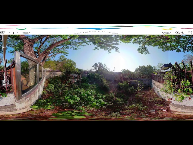 【360 Live】高雄 #壽山動物園 ＃小紅 #孟加拉虎 360 4K全景即時影像 #360看見台灣 #360看見高雄 #Formosa360 #rogy360taiwan