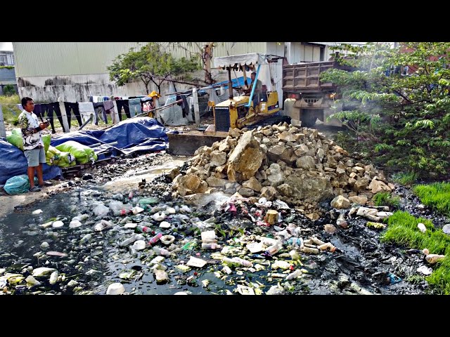First Starting A New Project! Filling Land Delete Garbage By Bulldozer Push soil with 5ton Trucks