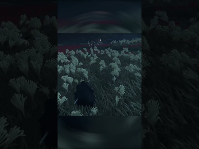 Stealthing With Tomoe And Ishkawa #playthrough #gameplay  #ghostoftshushima