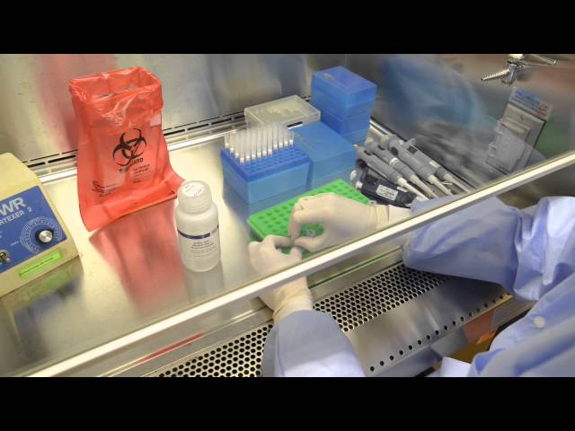 Cambridge Biomedical Technical Series-PCR