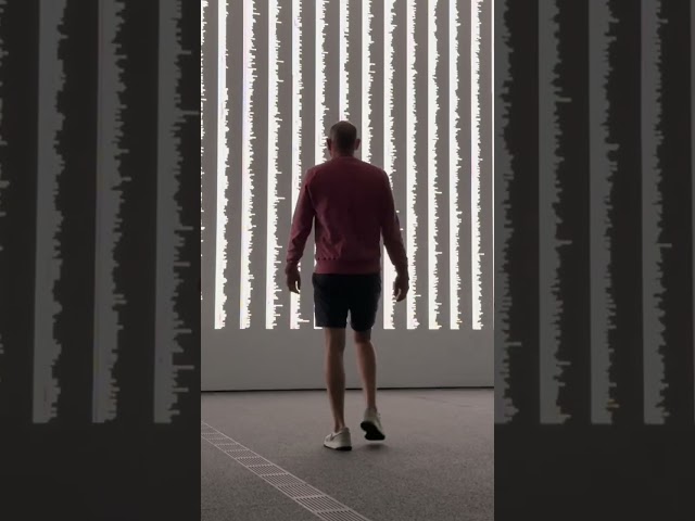 Ryoji Ikeda 'Data Verse' exhibit blew my mind. Go see it!