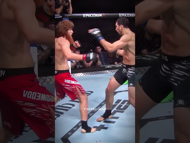 A fantastic knockout by Shara Bullet! #mma