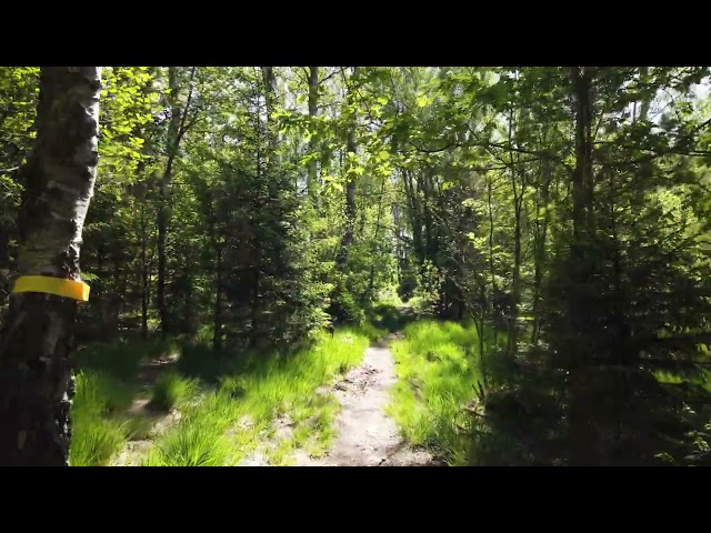 Do frontend devs need to learn fullstack?