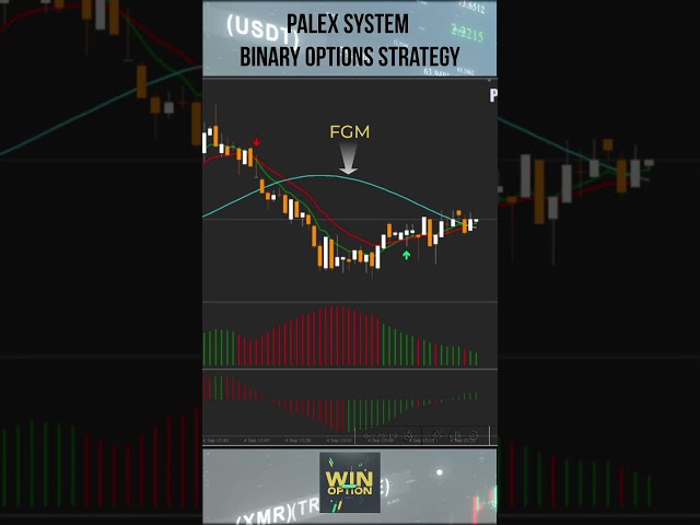 Palex System binary options strategy