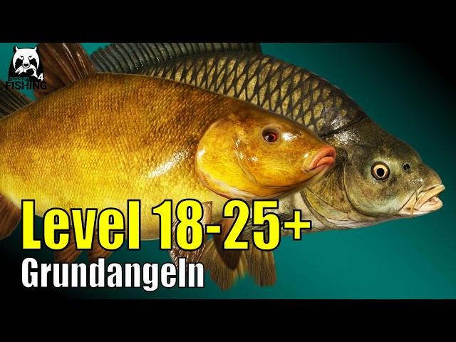 🎣 RF4 Carp Old Fortress! Bottom fishing for tench and carp | Russian Fishing 4 - #rf4