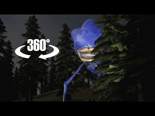 Shin Sonic in 360/VR