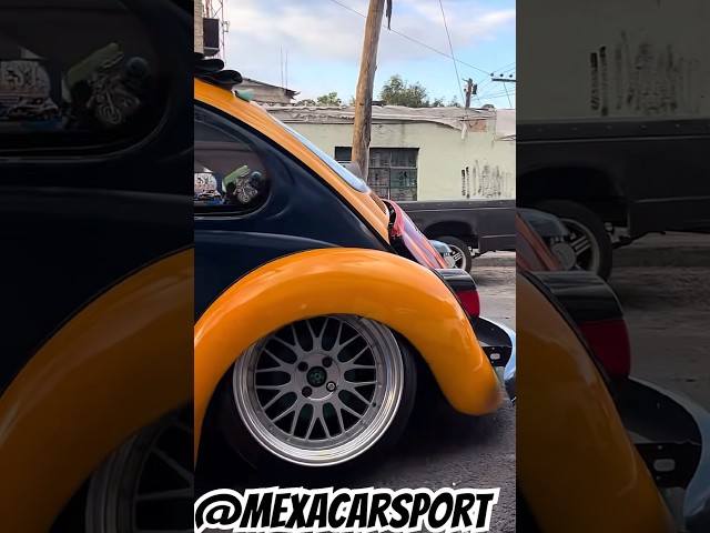 Vw Vocho #vocho #vochomx #fuscabrasil #beetle #vwsedan #volkswagen #Vwlifestyle #vwoval #porsche