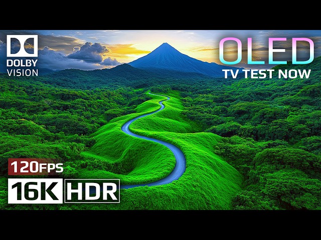 16K Video ULTRA HD 120fps - Dolby Vision HDR | Picture Perfection