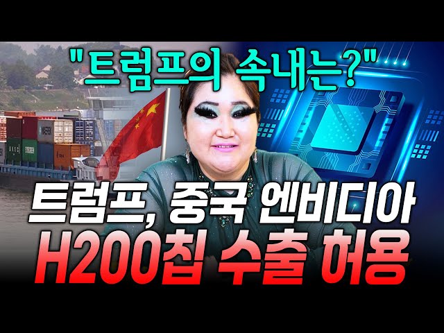 트럼프가 중국에 엔비디아 수출을 허용한 충격적인 이유 / 촬영일자 2025.12.10