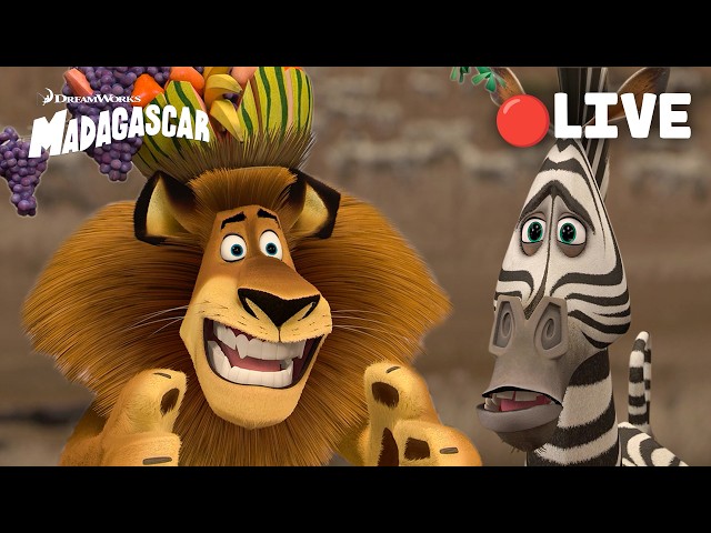 🔴 LIVE 🌴 The Most Iconic Madagascar Moments EVER 🦓🦁🦛🦒 Madagascar 1-3 Movie Clips | Animal Friends