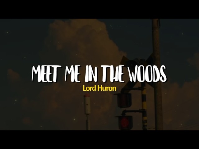 Meet me in the woods- Lord Huron (lyrics)