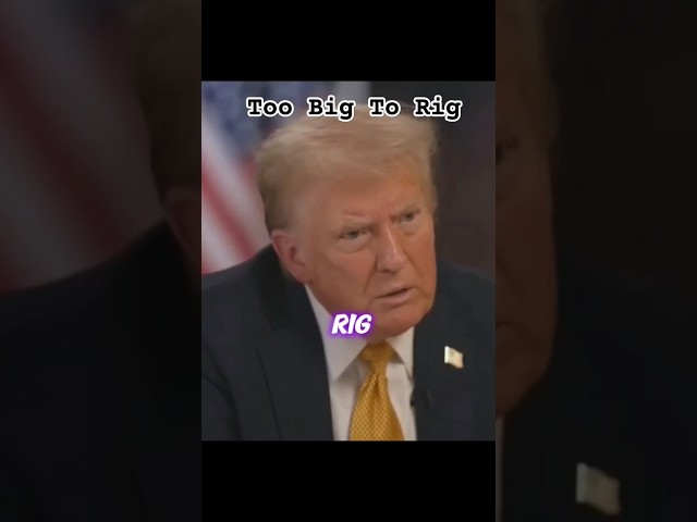It was Too Big To Rig #donaldtrump #meetthepress #cnn