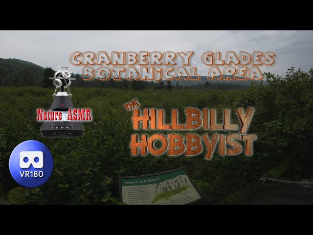 Cranberry Glades Botanical Area VR180