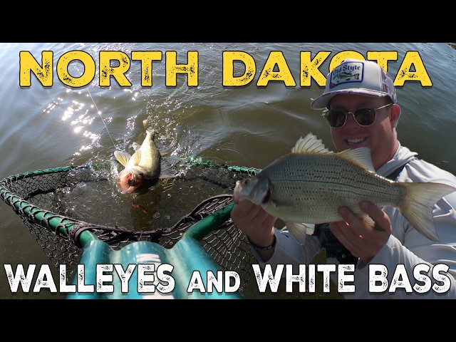 North Dakota Walleyes on Devils Lake | Summer Fishing Action