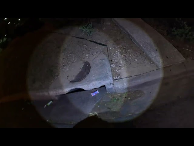 Boring Dallas 2026-04-01: Walking