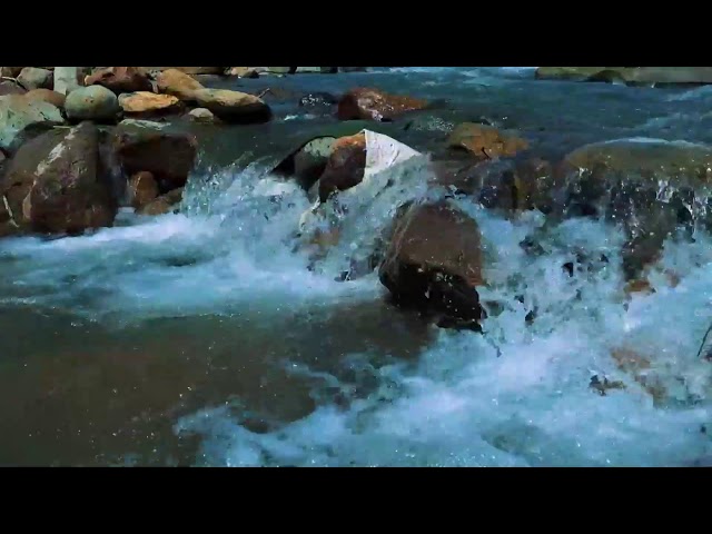 Healing Water Sounds in Lush Rocky Forest – Relax, Meditate & Sleep Deeply