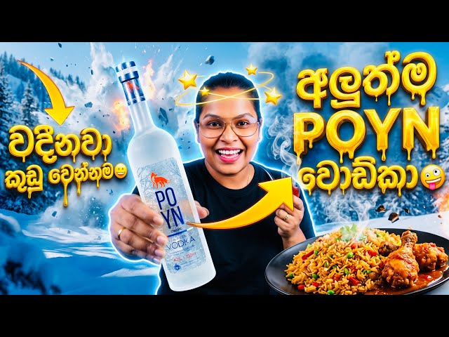 ලංකාවේ අලුත්ම Poyn Vodka එකයි 🥵 Mongolian Rice 👌 පට්ටම කම්බිනේෂන් එකක්! | Poyn Vodka Sinhala Review 