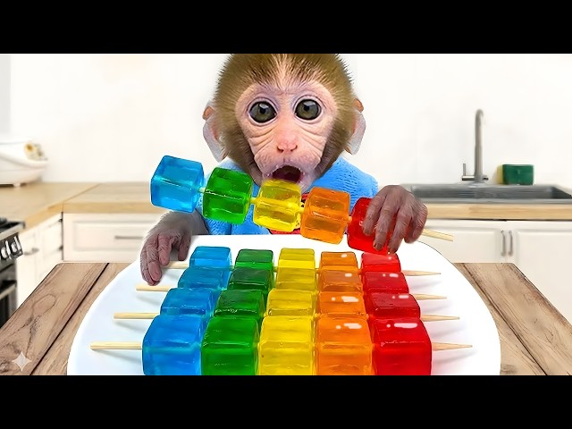 Monkey Baby Bon Bon harvest fruit in the garden and eat with puppy and duckling at the pool