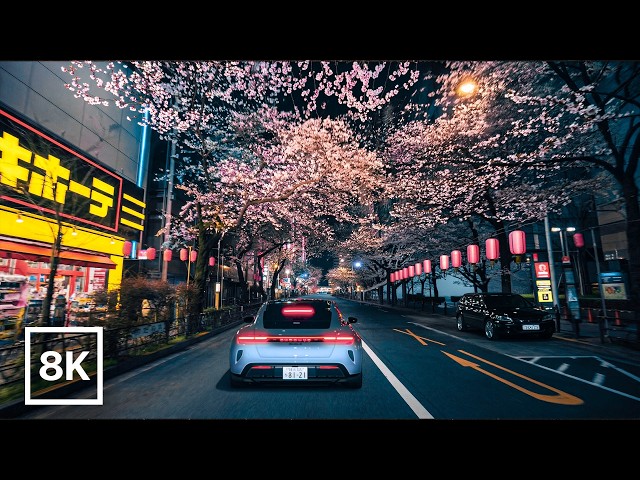 Tokyo Night Drive in Cherry Blossom Season 🌸 / 8K 60fps HDR / Relaxing Piano Music