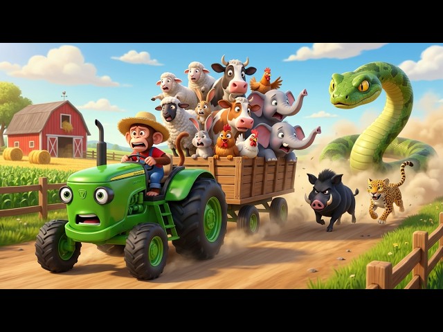 Cute Monkey Farm Adventure Fighting Wild Boar & Chasing Away Giant Snake | Funny Farm Cartoon
