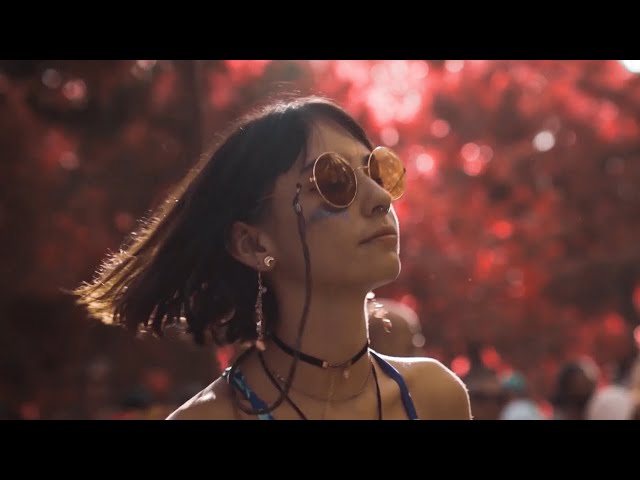 Melodic Progressive Psytrance Mix #2 ~ Delas