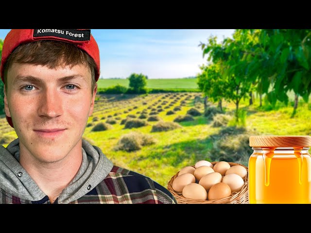 Sunny Farm Days: Collecting Honey, Eggs & Gardening