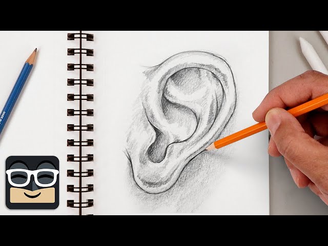 How to Draw a Human Ear | Step by Step Sketch Tutorial
