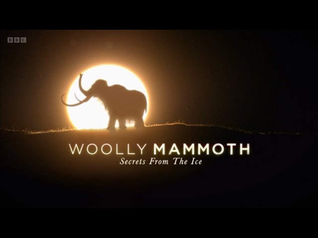 Woolly Mammoth - Secrets from the Ice (BBC)