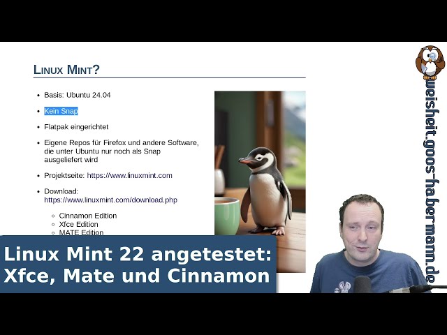Linux Mint 22 tested: Xfce, Mate and Cinnamon