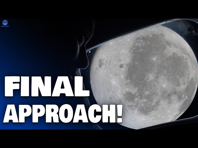 Elon Musk Confirmed Starship Flight 12 Launch Date Delayed Due To...Artemis II Moon Flyby in Hours!