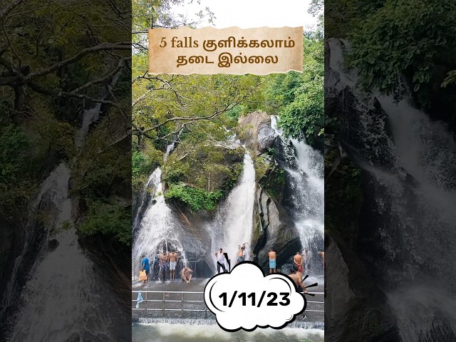 kutralam 5 falls