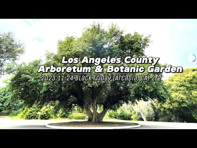 VLOG | Los Angeles County Arboretum & Botanic Garden (2/2) - 2023.11.24 Black Friday (Arcadia, CA)