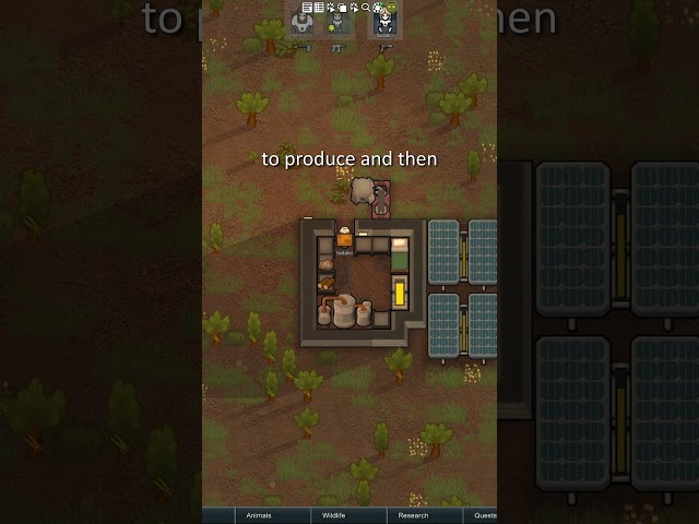 Stuck on an Asteroid in RimWorld Odyssey